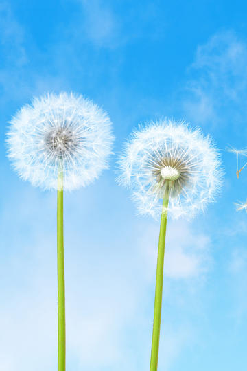 五一劳动节